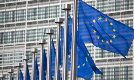Exporteren naar de Europese Unie: regels en voordelen